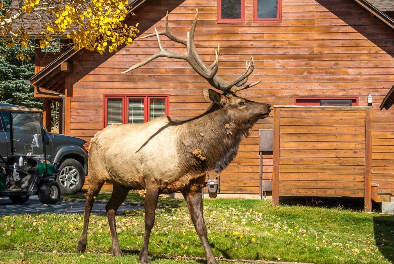 Rams Horn Village Resort Estes Park Exteriér fotografie